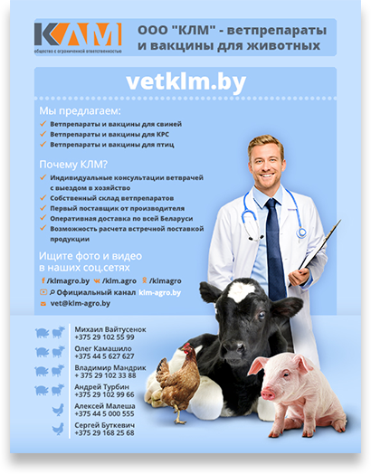 vetklm