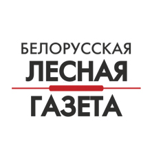 Отзыв